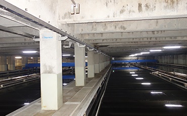 Underground sedimentation tanks